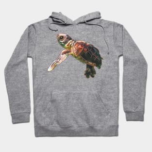 Save The Turtles Hoodie